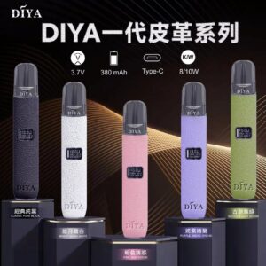 【DIYA叮啞皮革主機】通用一代皮革主機 💖 可卻換 二段功率<8W和10W>