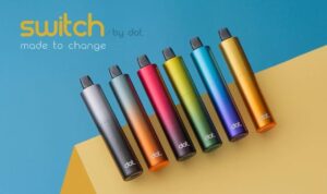 美国佩特里DOT SWITCH 🪄2顆入( 買三盒送一隻專用主機 )
