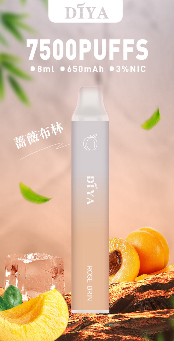 66 新品上市【叮啞抛棄式7500口】可充電 💖薔薇布林口味✨台灣獨家登場🔥 CP值最高 零故障 限時活動 {滿十送一}